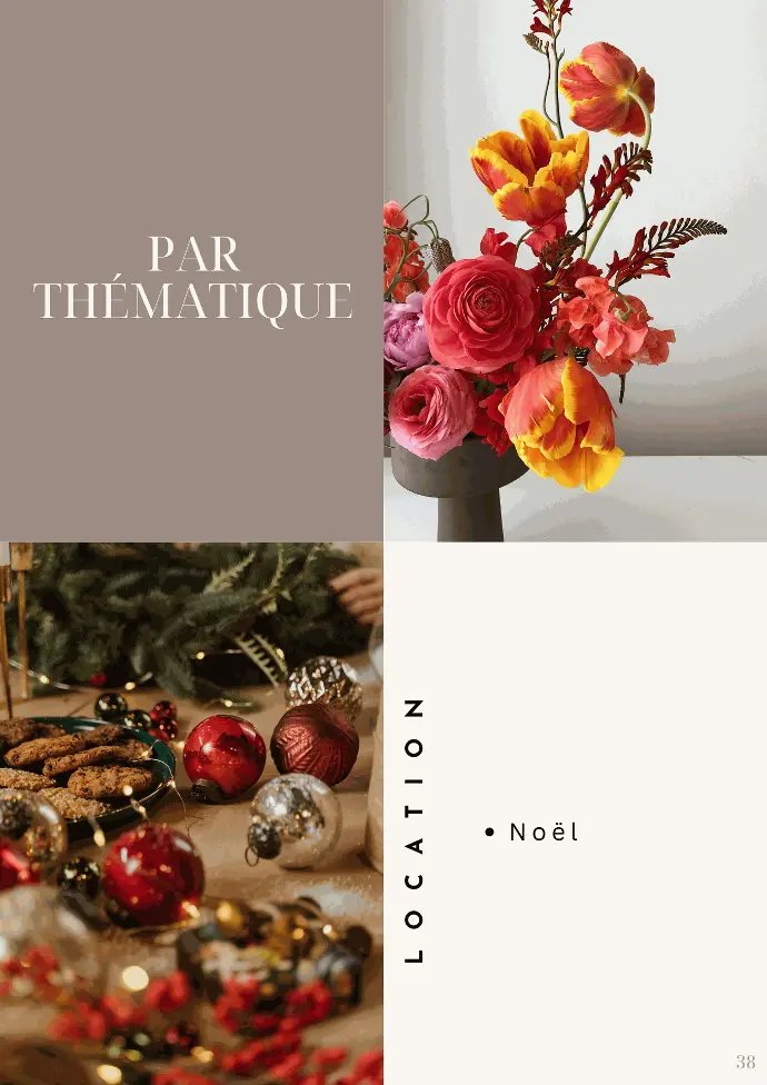 Location par thématique - noel 